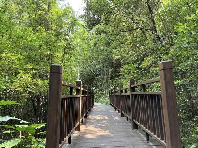 自然疗愈+健康睡眠，广州市越秀公园这条疗愈小径等你来体验→