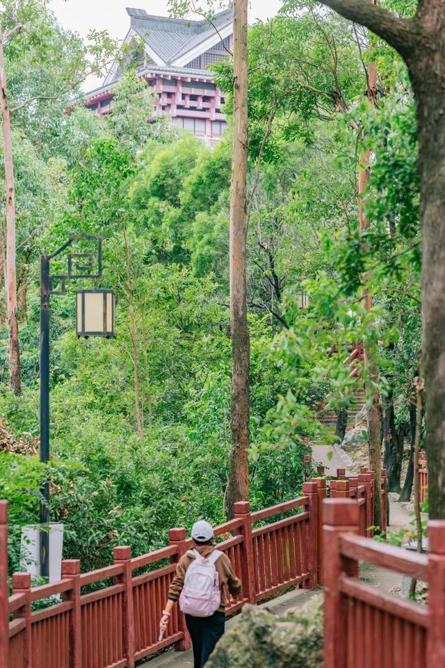 免门票！里水登高首选！3条赏秋路线→