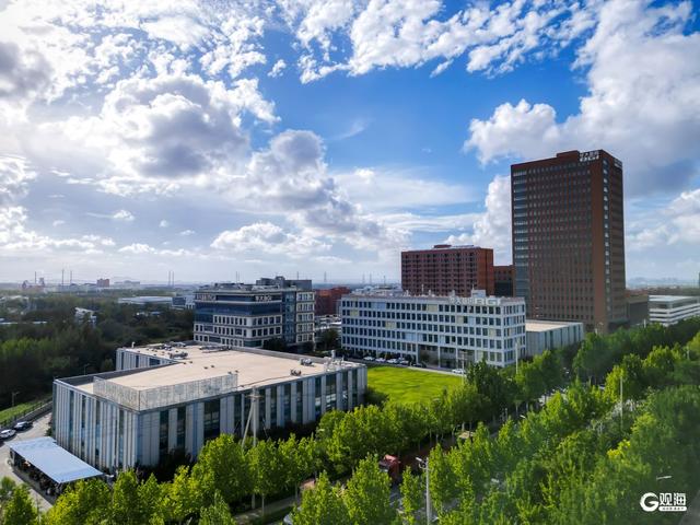 为“中国康湾”建设打造重要支点！青岛华大健康产业项目启动