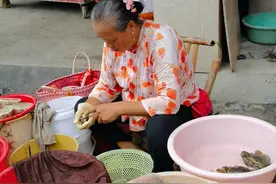 福建泉州蟳埔簪花图片