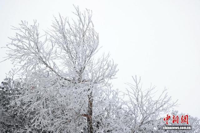 豫西落雪：白云山间银装素裹