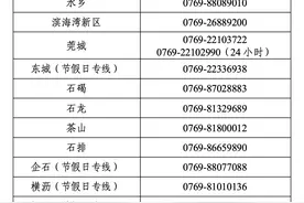东莞市镇政务服务大厅清明节放假安排来了图片