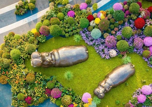 “巴公房子”立江畔，十大名菊传古韵！走过近70年的武汉菊展邀您来赏颜值品内涵