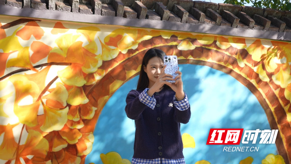 中方县：银杏迎来最佳观赏期 掀起游客打卡热潮