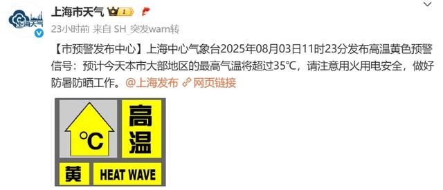 事发上海迪士尼！“跳跳虎”突然晕厥倒地，有游客在旁边扇风，回应→