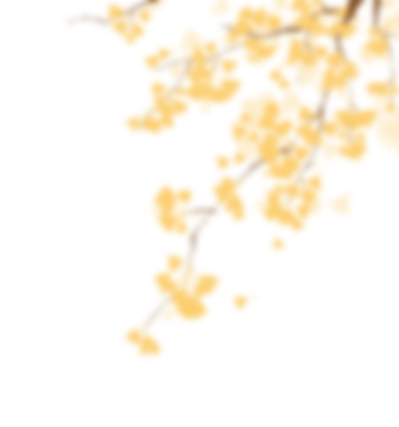 淘宝、赏花、观鱼，周末共康古玩街约起？