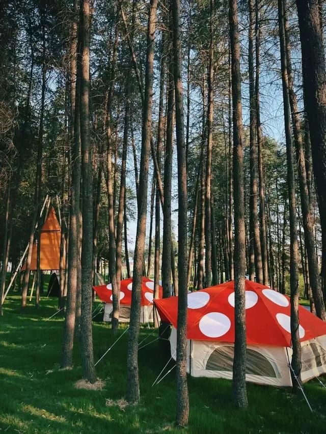 林间咖啡、湖中落日...嵩县这处小众秘境，你一定要知道！