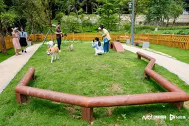 @养宠人士，300平米萌宠乐园来了！罗湖这里“宠物友好”图片