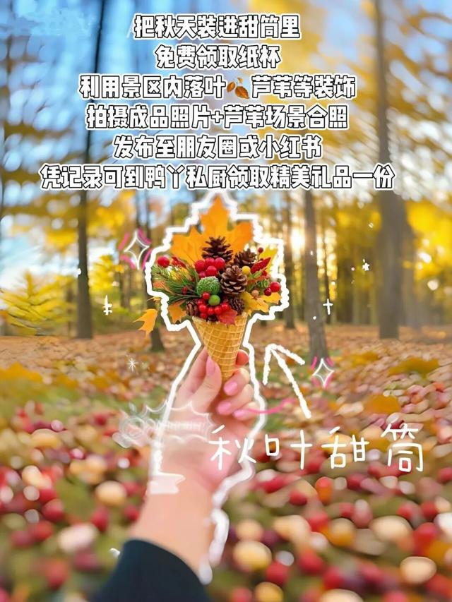 一眼心动！周末邂逅北京芦花漫舞，超有秋日feel~