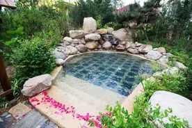 免费9天！还有半价、优惠多重福利！图片