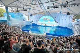 暑期游广东！广州海洋馆“一票通玩海陆空”图片