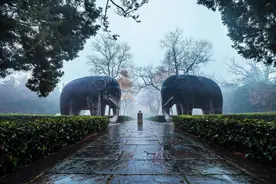 世界骑行日，江苏绝美骑行路线推荐图片