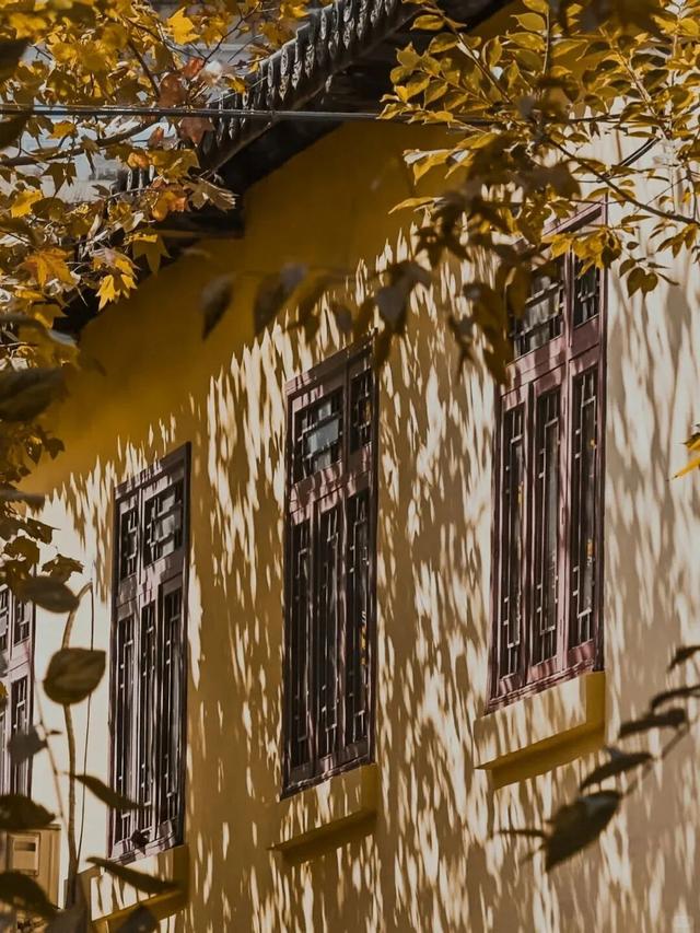 出片神“巷”？昆明这几条街，又趣又潮又时髦！