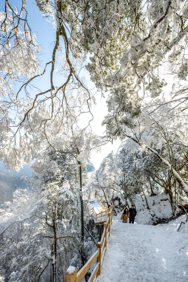 第十一届四川光雾山国际冰雪节即将启幕，冬日出游攻略请查收！