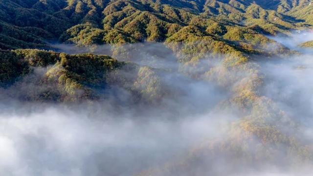 免门票福利！白云山绝美秋色正在上映→