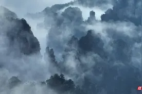 【“五一”游张家界】张家界武陵源：百龙天梯峰林云海美如画图片