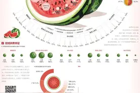 经济日报携手京东发布数据——小西瓜日益受欢迎图片