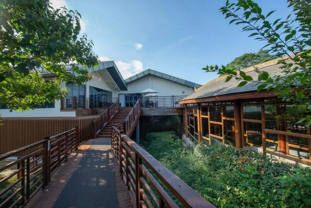 初冬的第一场旅行不如“进山游”→