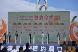 第三届湖南洞口雪峰蜜桔文化旅游节启幕图片