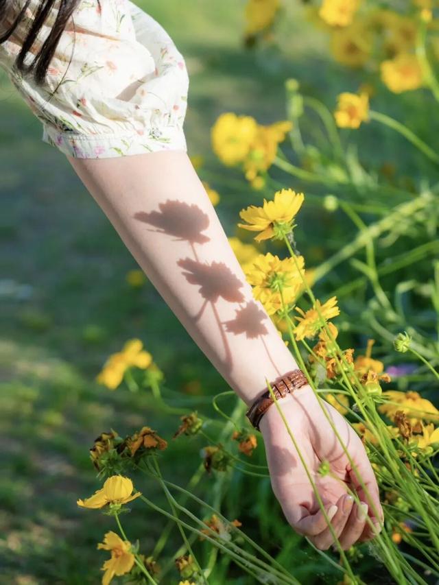 30+东湖夏日绝美壁纸，治愈一整年！