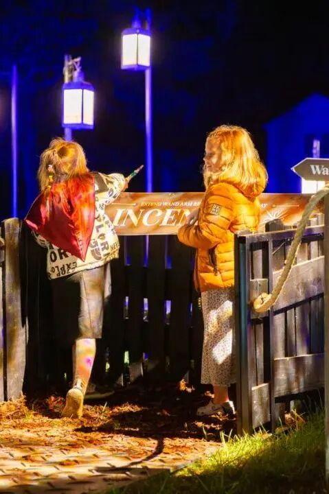 哈迷集合！全国首家“哈利·波特：禁林体验”门票免费送