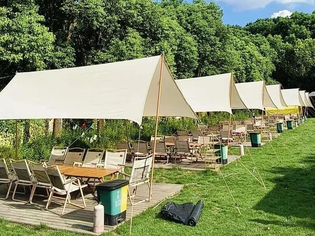 骑行天花板！这条5.6km治愈路线，串联森林与田园风光