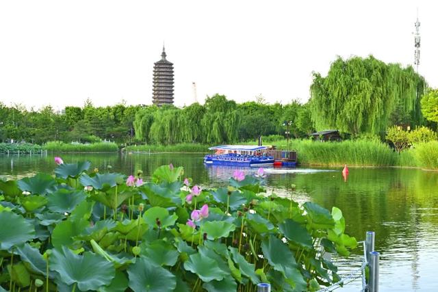 暑期打卡副中心 | 摩登水岸塔影波光，运河边享Chill生活