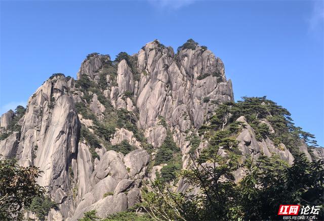 秋游时刻丨如果秋天有底色，那一定是黄山的样子吧？