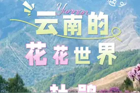 【美好生活在云南】云南的花花世界：高山杜鹃 从文化传承到“亿元”产业图片