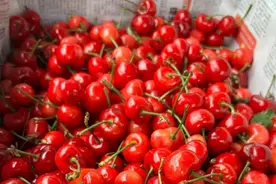 樱桃、枇杷、荔枝……时令水果齐上阵，你最爱哪种→图片