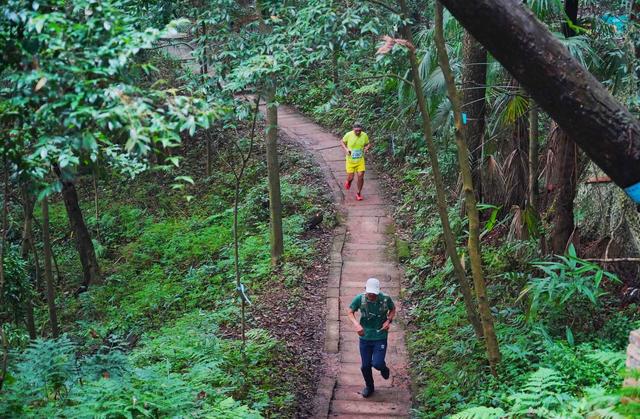 2025都江堰文化遗产步道发布仪式暨系列主题活动正式启动