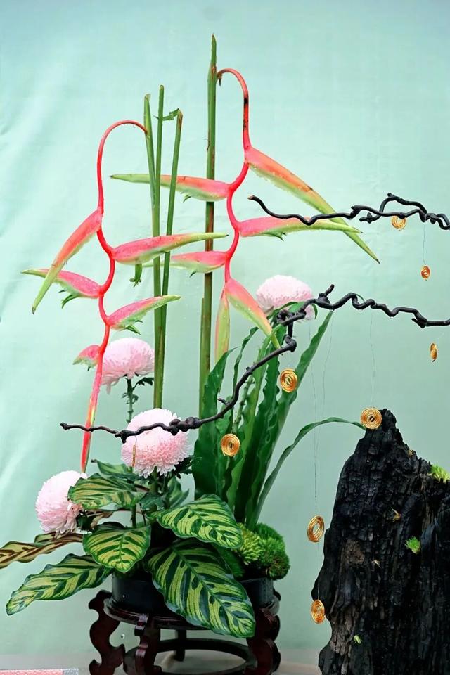 已开，免费！10万盆菊花、超多精彩活动等你来