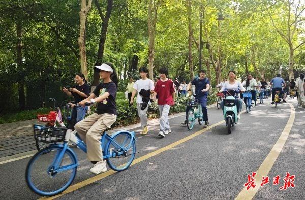 全国各地的游客都来武汉了，京A、沪A、新A、蒙A……自驾车主大赞武汉特好玩