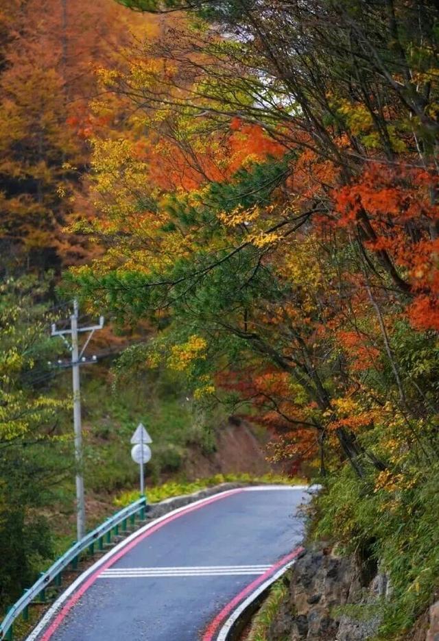 广元⇄甘孜 梦幻联动！七折游两地A级景区！