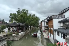 “海外侨胞故乡行”走进上海奉贤：最美的风景是家乡图片