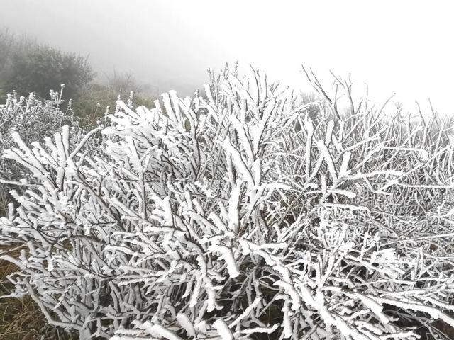 最低-1℃，清远出现冰挂！多地寒冷预警……