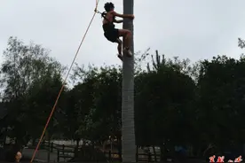 【厉兵秣马待出发】攀椰竞速：挑战椰子树上的“速度与激情”图片