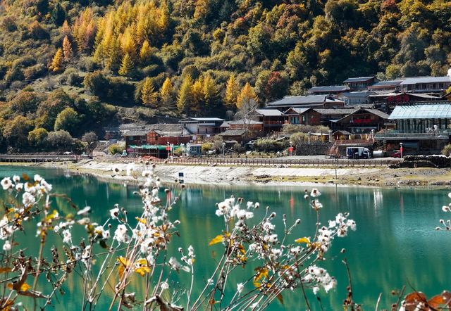 四川平武：彩林红叶正当时 白马藏寨迎客来