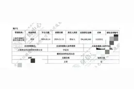 女子查征信发现自己莫名成为一机构3.96亿贷款担保人，涉事银行：信贷人员操作失误图片