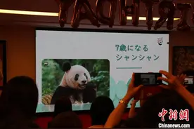 中国大熊猫“香香”生日会在东京举办图片