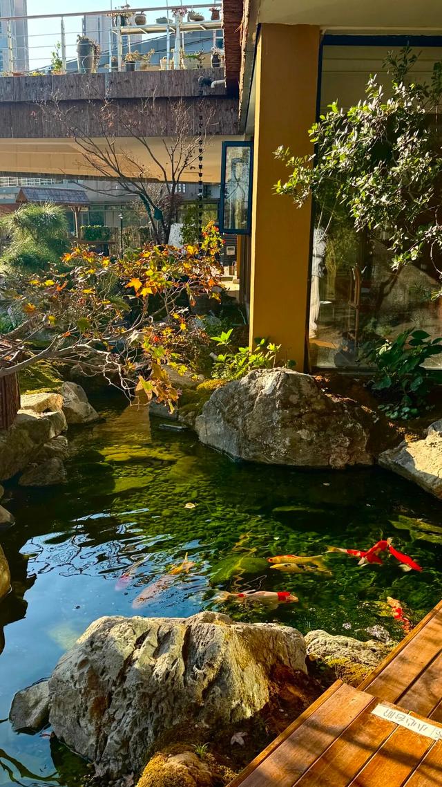 溧水有处“城市秘境”！（文末有惊喜）