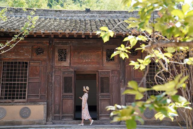 新华全媒＋｜嘉陵江畔千年银杏唤醒古村文旅新篇