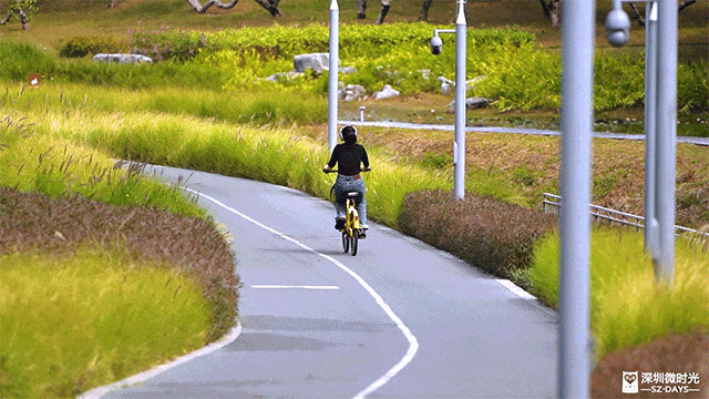 出发！去深圳最特别的「胖虎主题市集」，逛吃一天
