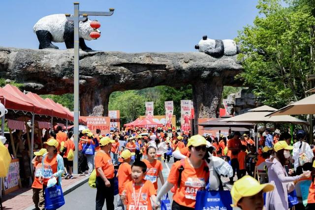 穿行大峡谷，走进山水画！2025张家界走娃报名启动（文末有福利~）