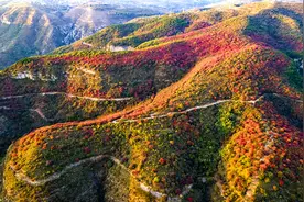 汝州：红叶满山！诚邀四方游客共赏秋日盛景图片