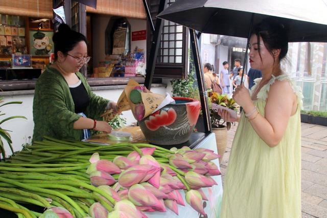 江苏苏州：山塘街荷花俏销 感受初秋浪漫