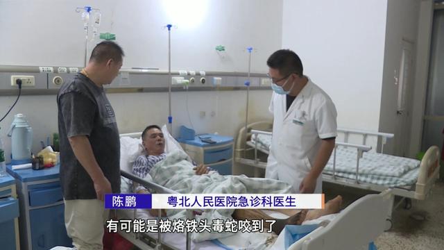 8岁男童昏迷9小时险丧命！医生靠脚踝俩小红点揪出“元凶”