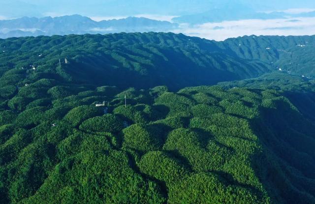 全国百强！宜宾2地上榜