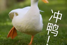 注意！乘坐高铁这些东西不能带！图片