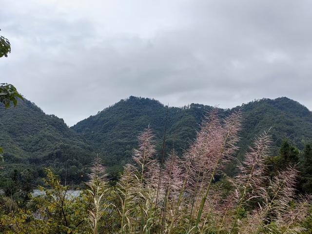 晚潮｜潜明水库三笺